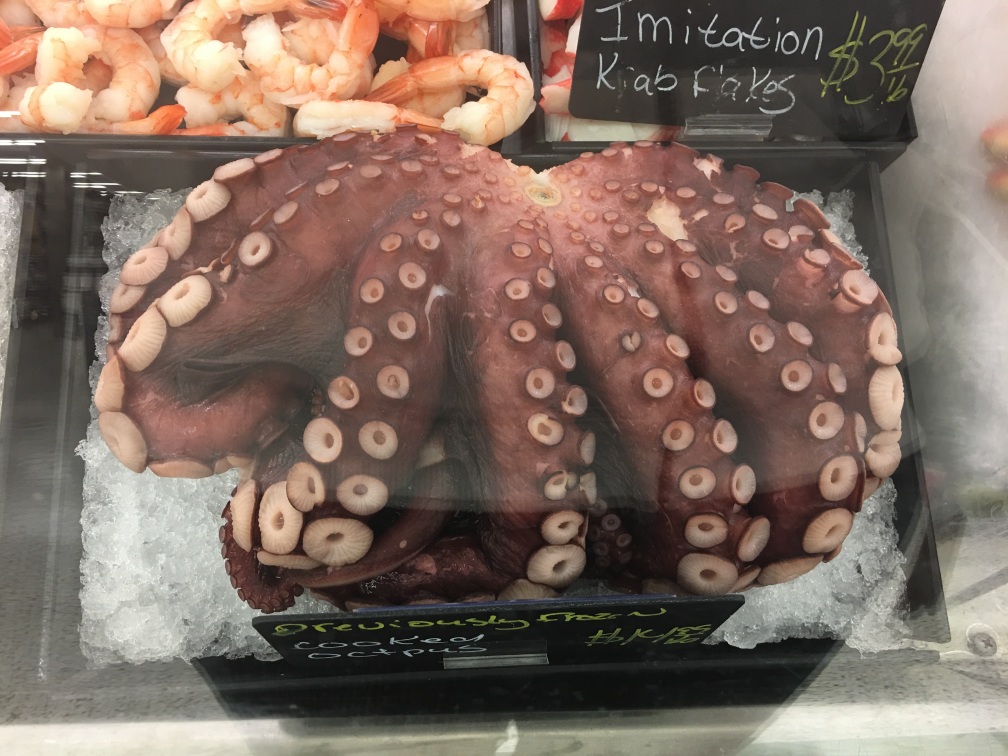octopus
