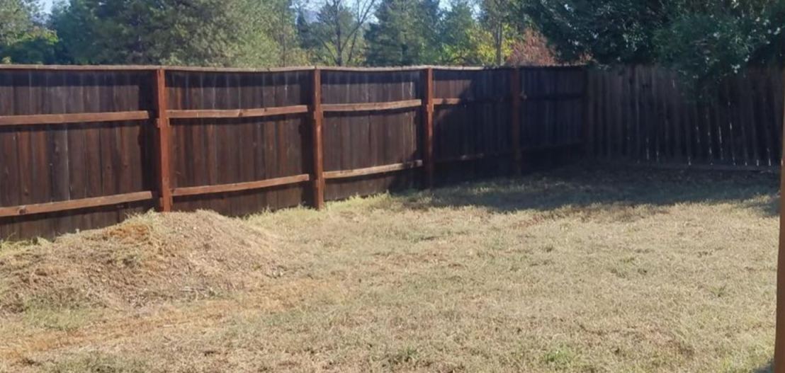 backyard has potential